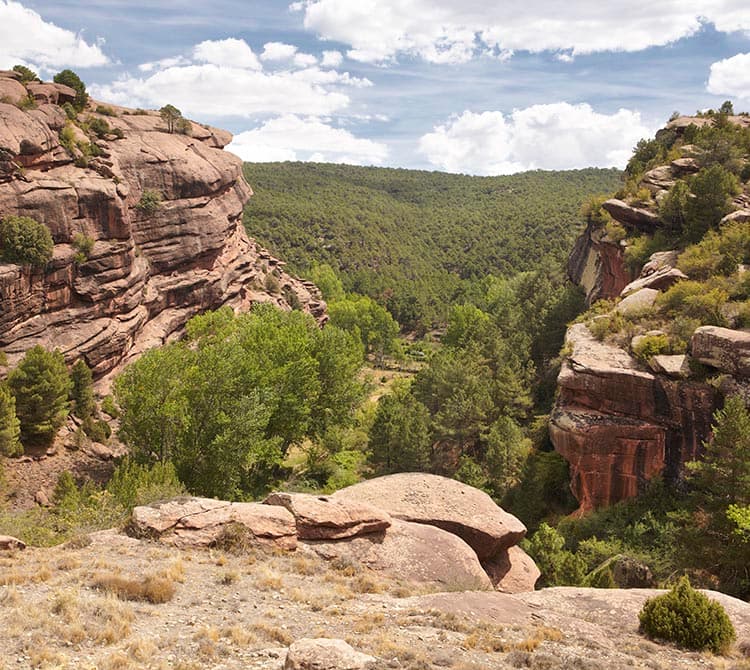 Paisaje protegido